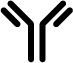 强效 Fc 结构域结合