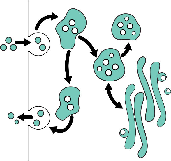 image003.png